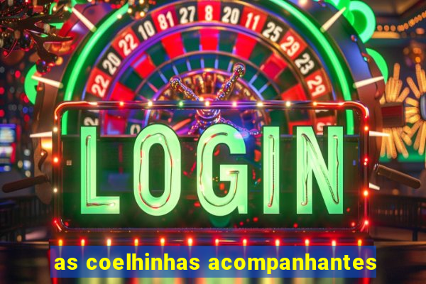 as coelhinhas acompanhantes